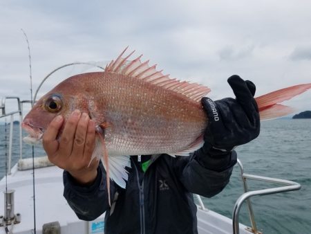 遊漁船　ニライカナイ 釣果