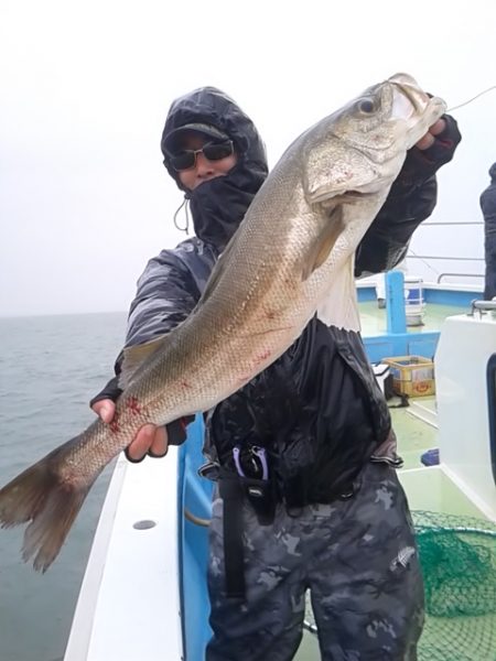 さわ浦丸 釣果