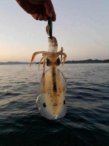 遊漁船　ニライカナイ 釣果