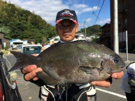 鵜来島家本渡船 釣果