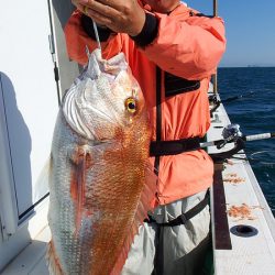 第三むつりょう丸 釣果