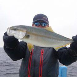 さわ浦丸 釣果