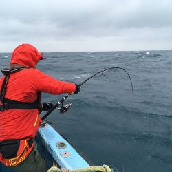 松鶴丸 釣果