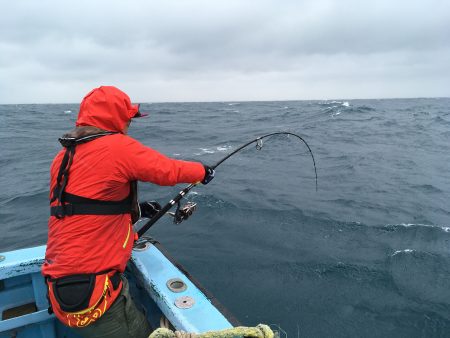 松鶴丸 釣果