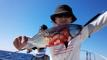 秀漁丸 釣果