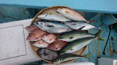 はじめ丸 釣果