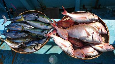 はじめ丸 釣果