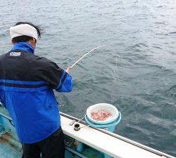 はじめ丸 釣果