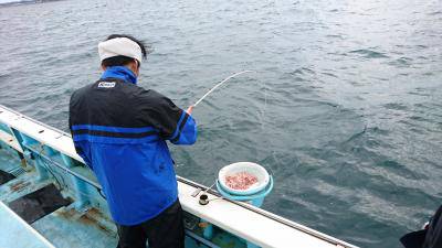 はじめ丸 釣果