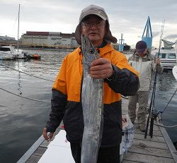 はたの屋 釣果