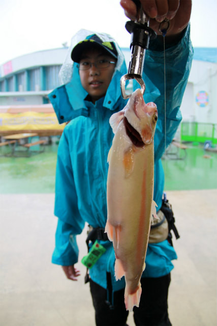 としまえんフィッシングエリア 釣果