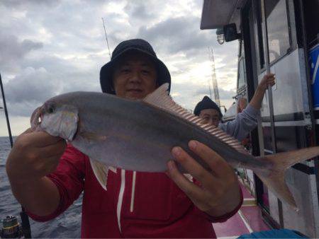 ぽん助丸 釣果