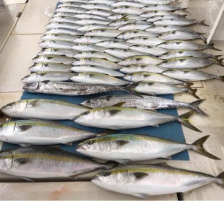 大雄丸 釣果