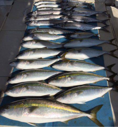 大雄丸 釣果