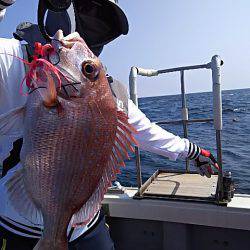 光生丸 釣果