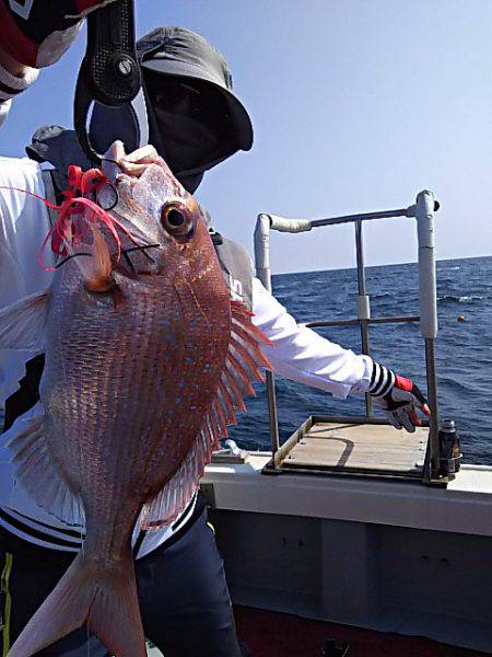 光生丸 釣果