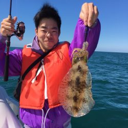 うさぎ丸 釣果