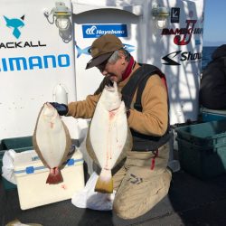 シーランチ 釣果