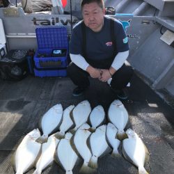 シーランチ 釣果