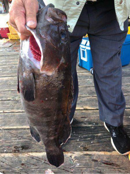 釣り堀水宝 釣果