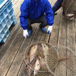 釣り堀水宝 釣果