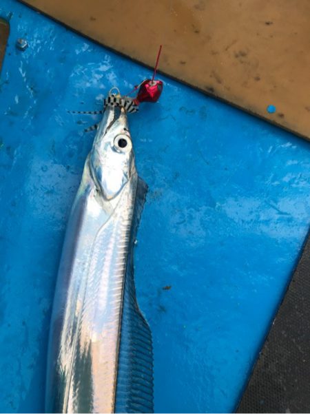 太平丸 釣果