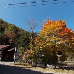 平谷湖フィッシングスポット 釣果