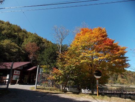 平谷湖フィッシングスポット 釣果