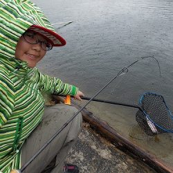 平谷湖フィッシングスポット 釣果