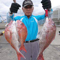 だて丸 釣果