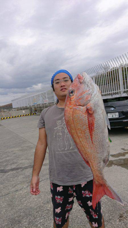 だて丸 釣果