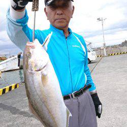 だて丸 釣果