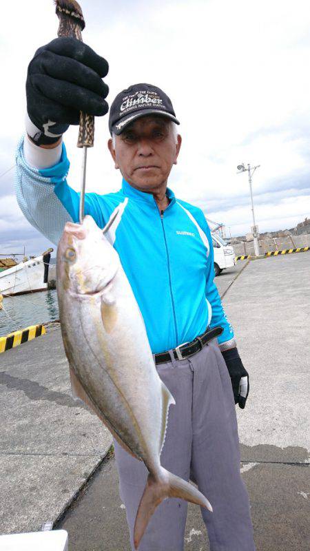 だて丸 釣果