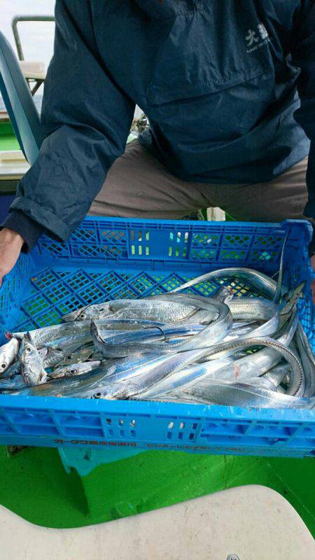 小島丸 釣果