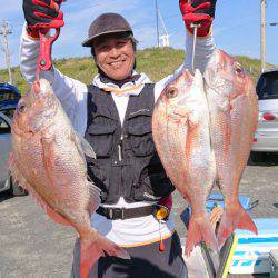 だて丸 釣果