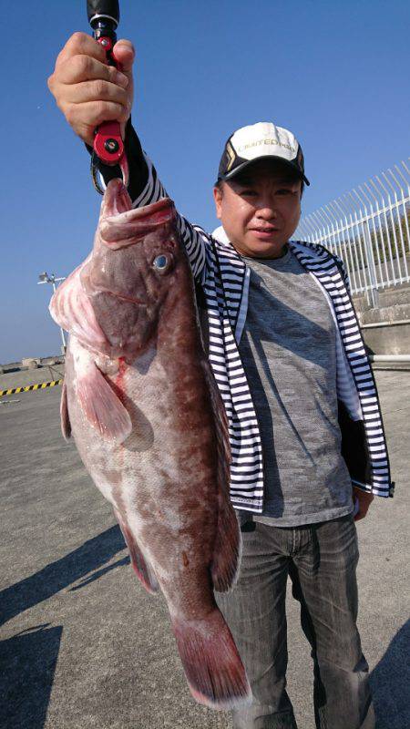 だて丸 釣果