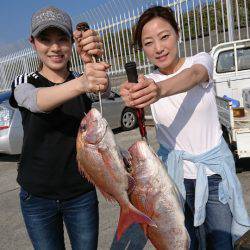 だて丸 釣果