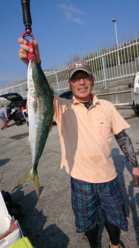 だて丸 釣果