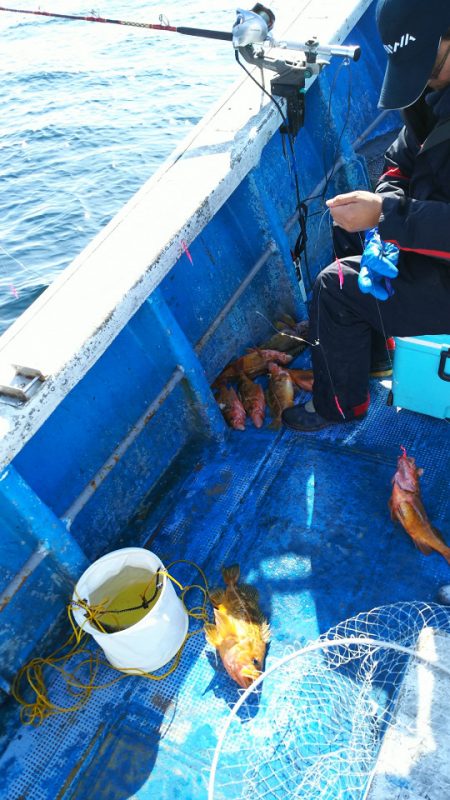 芳陽丸 釣果