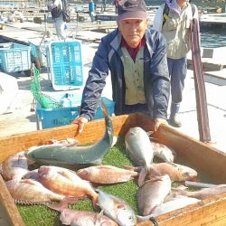 海の釣堀 海恵 釣果