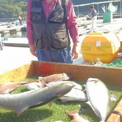 海の釣堀 海恵 釣果