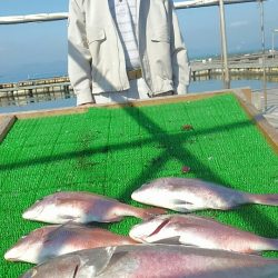 海の釣堀 海恵 釣果