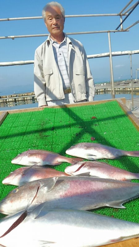 海の釣堀 海恵 釣果