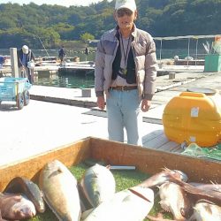 海の釣堀 海恵 釣果