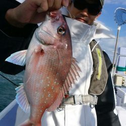 新幸丸 釣果