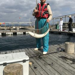 海の釣堀 海恵 釣果