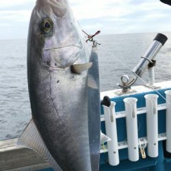 阿波哲 釣果