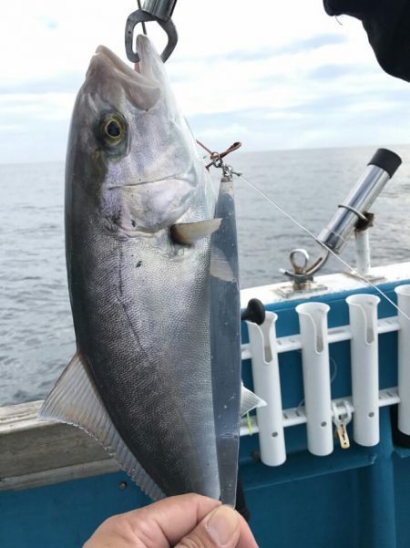 阿波哲 釣果