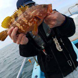 みやけ丸 釣果