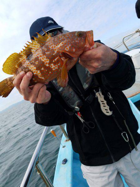 みやけ丸 釣果